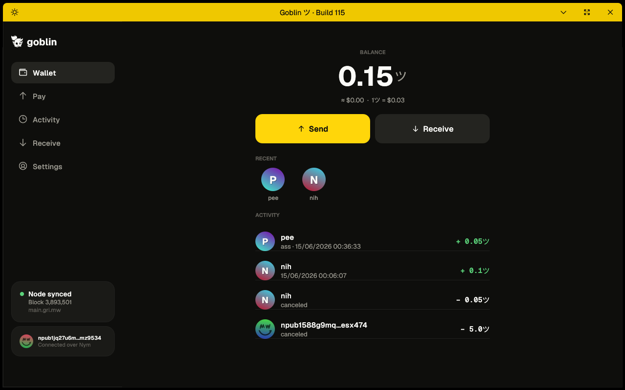 Goblin home: balance, recent contacts, and an activity feed, connected over Nym